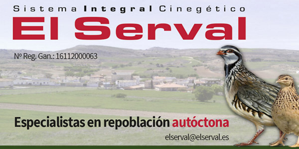 Lanzamiento web El Serval